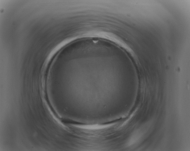 X0000086221517200704051227