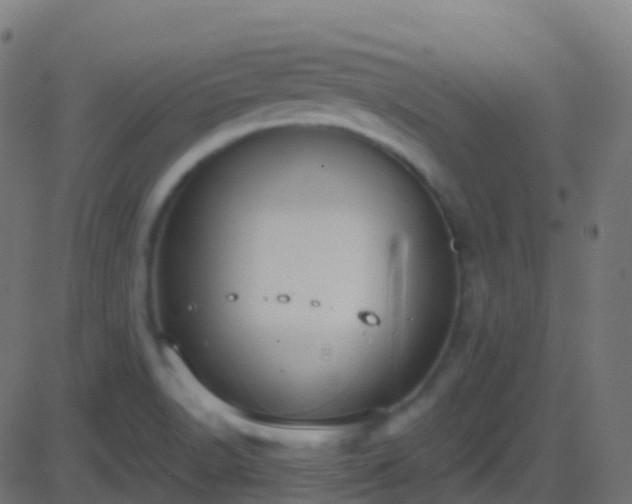 X0000086221518200704051227