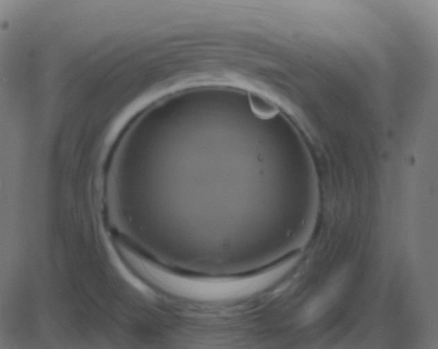 X0000086221519200704051227