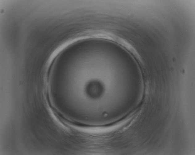 X0000086221520200704051227