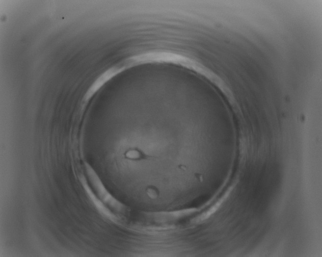 X0000086221521200704051227