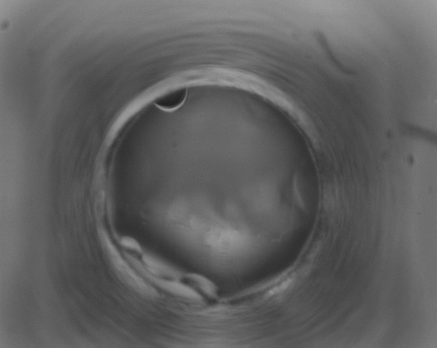 X0000086221522200704051227