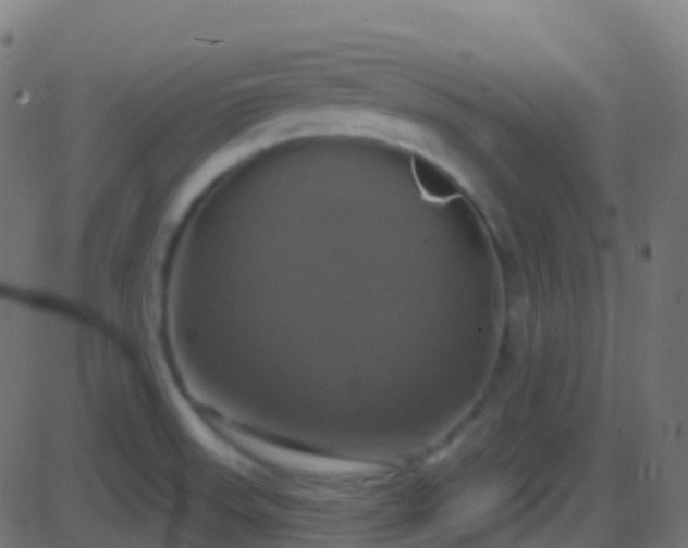 X0000086221523200704051227