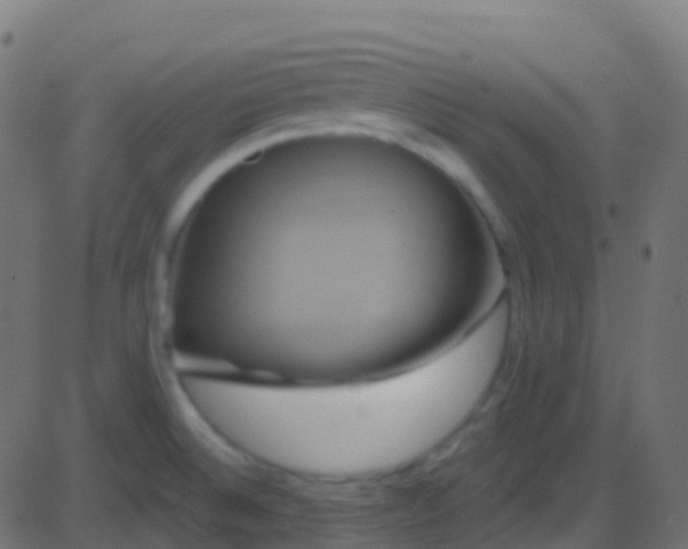 X0000086221524200704051227