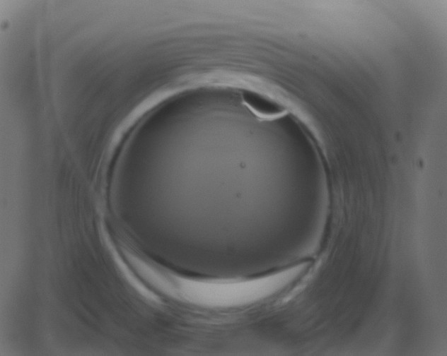 X0000086221525200704051227