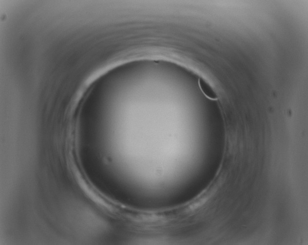 X0000086221526200704051227