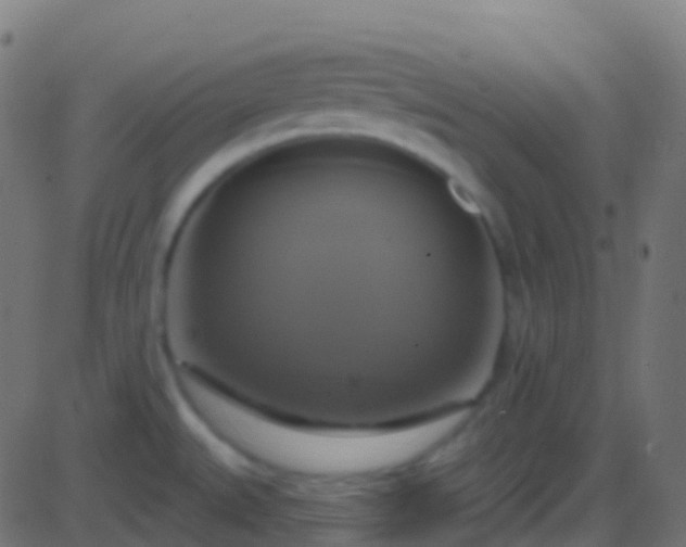 X0000086221527200704051227