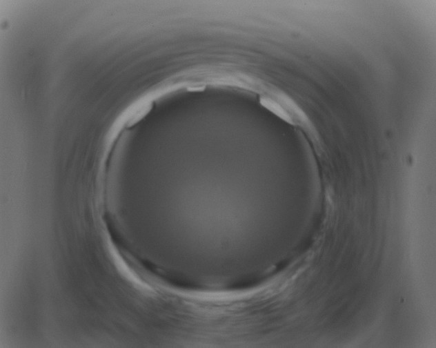 X0000086221528200704051227