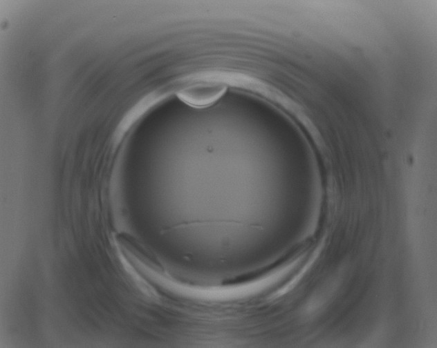 X0000086221529200704051227