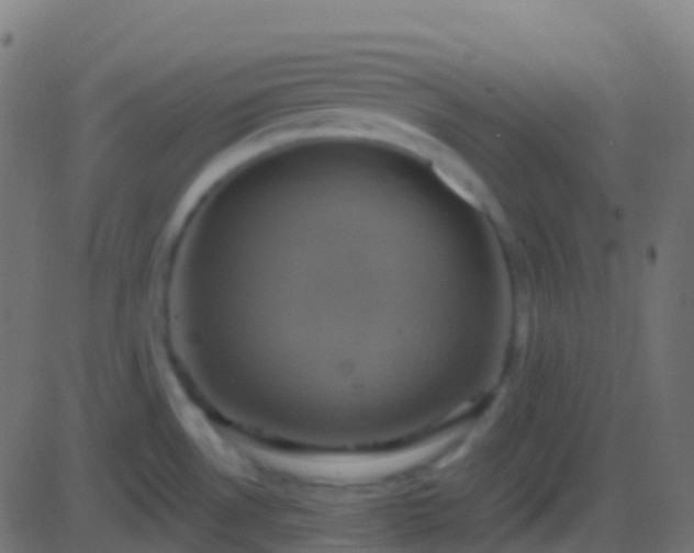 X0000086221530200704051227