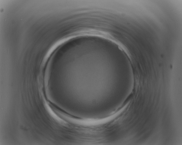 X0000086221531200704051227