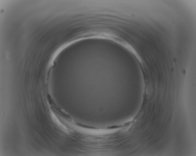 X0000086221532200704051227