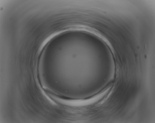 X0000086221533200704051227