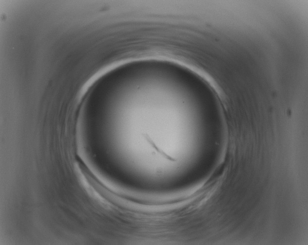 X0000086221534200704051227