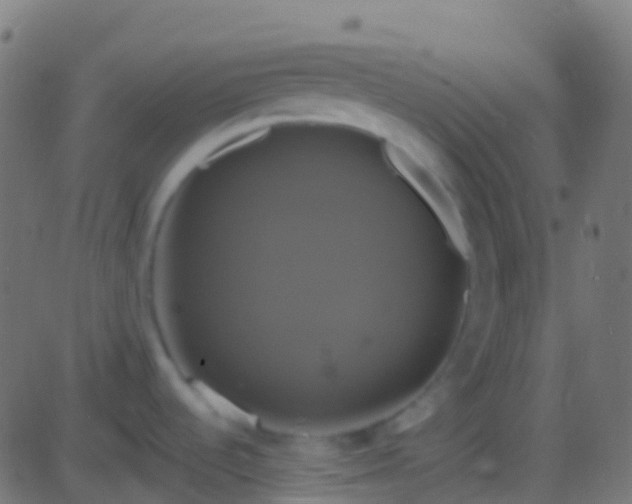 X0000086221536200704051227