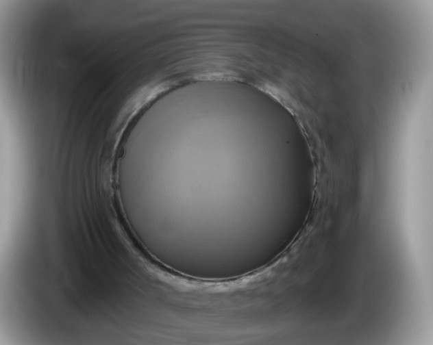 X0000086220002200704121905