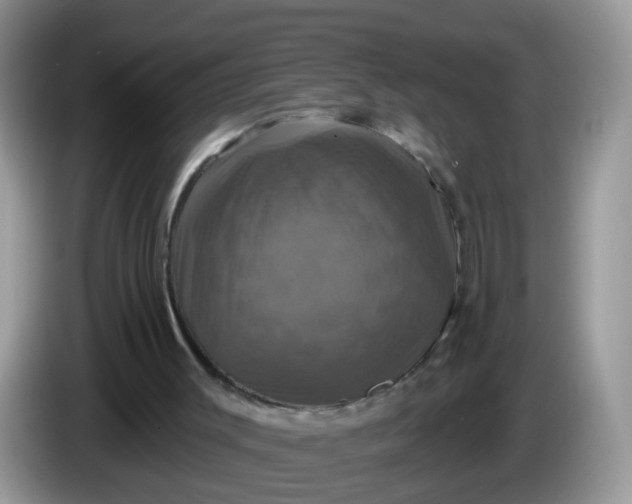 X0000086220003200704121905