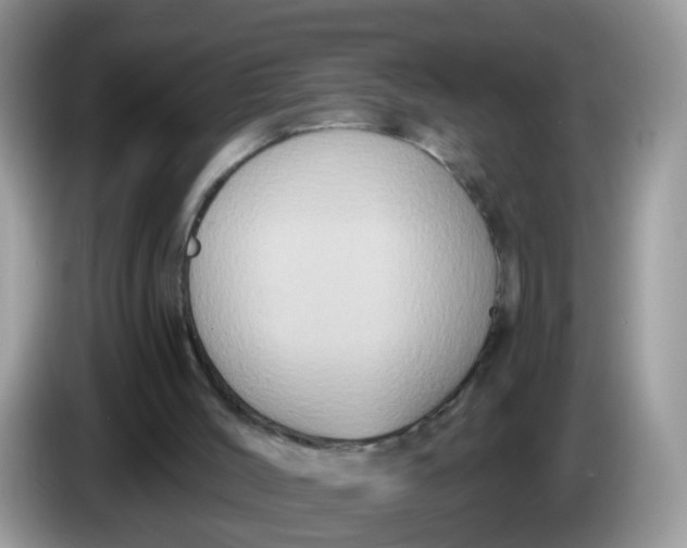 X0000086220004200704121905