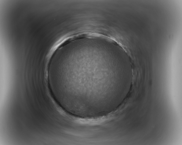 X0000086220005200704121905