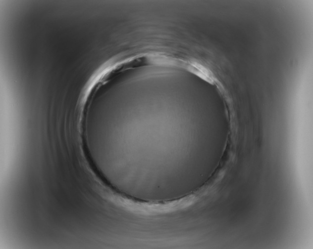 X0000086220007200704121905