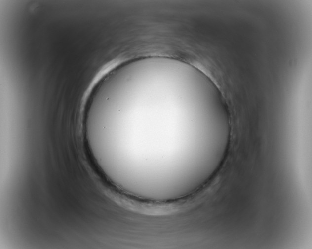 X0000086220008200704121905