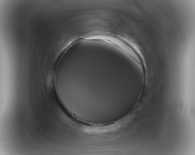 X0000086220009200704121905