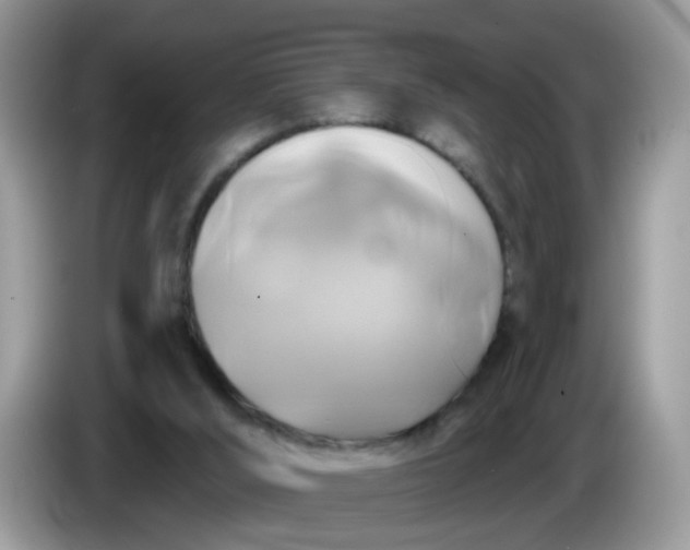 X0000086220012200704121905