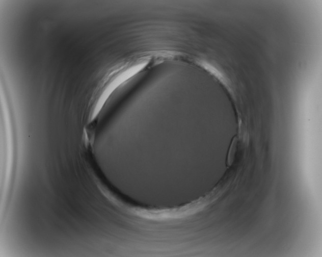 X0000086220013200704121905