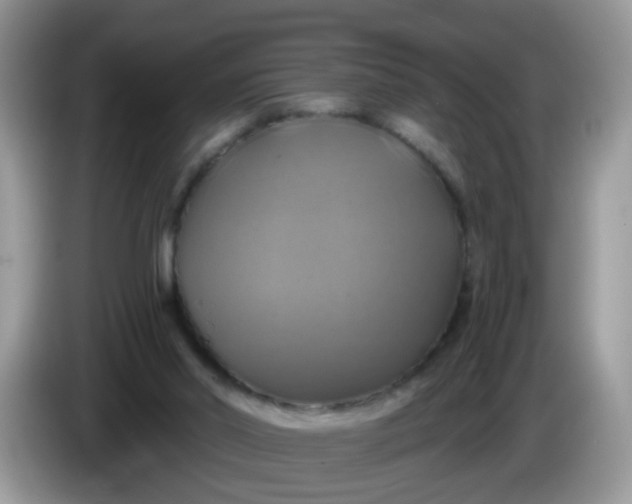 X0000086220014200704121905