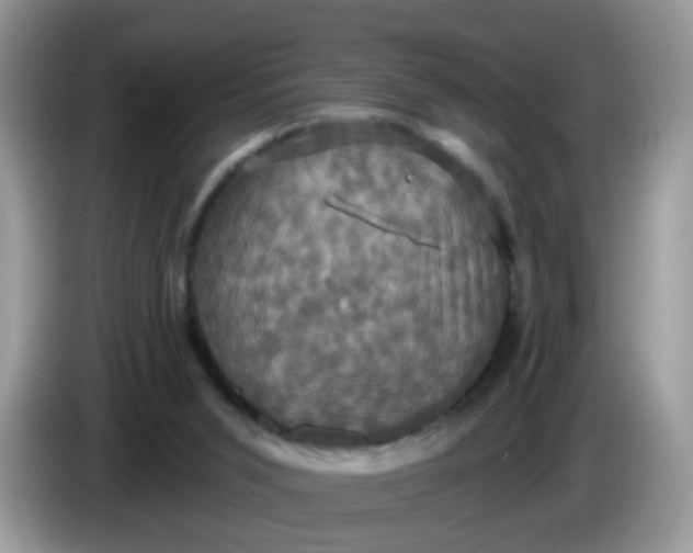 X0000086220015200704121905