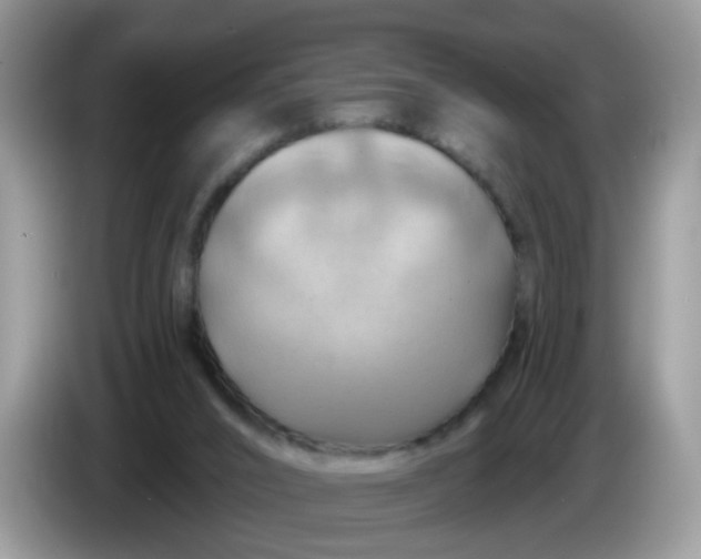 X0000086220016200704121905