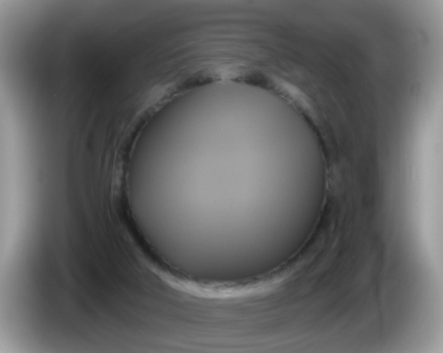 X0000086220018200704121905