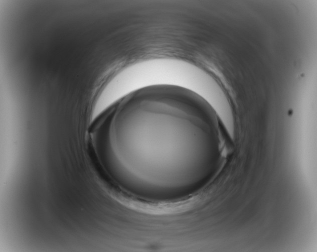 X0000086220019200704121905