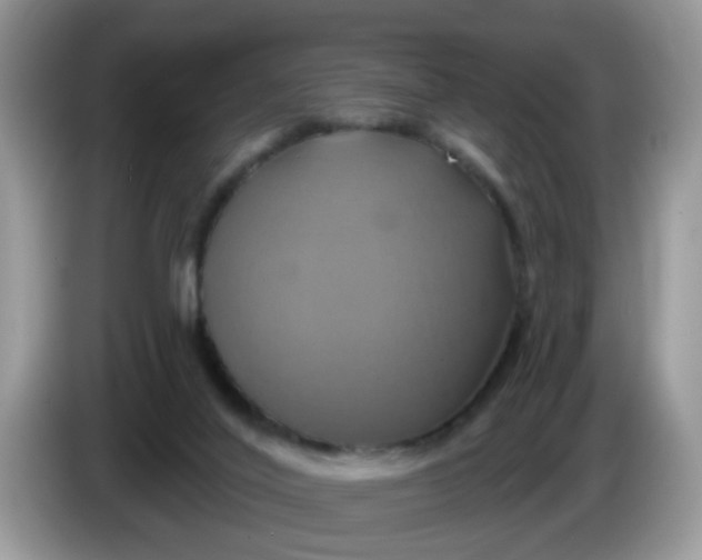 X0000086220020200704121905