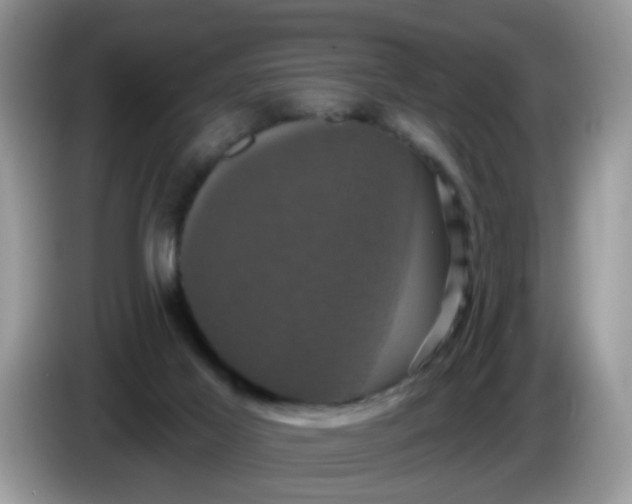 X0000086220021200704121905