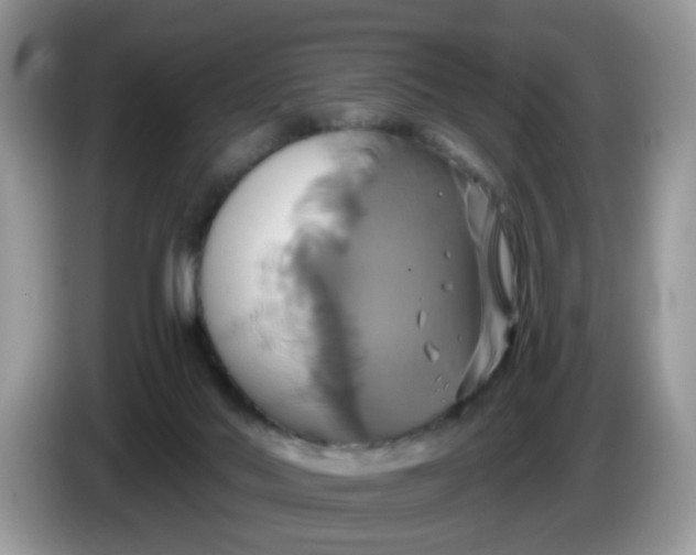 X0000086220022200704121905