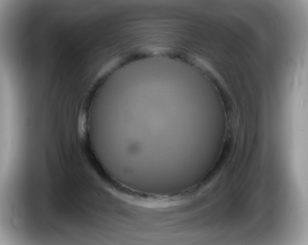 X0000086220024200704121905