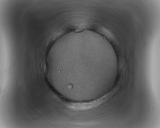 X0000086220025200704121905