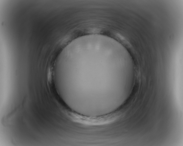 X0000086220026200704121905