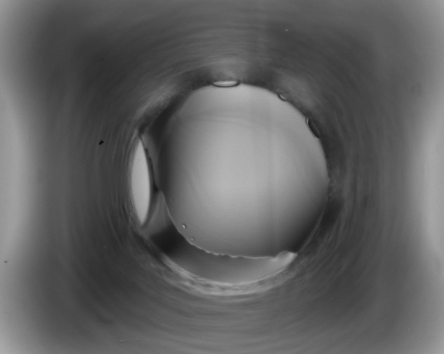 X0000086220027200704121905