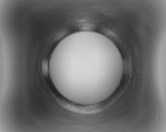 X0000086220028200704121905