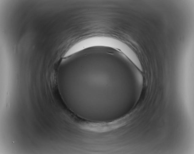 X0000086220029200704121905