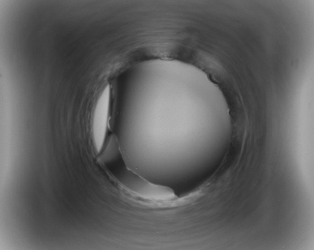 X0000086220031200704121905