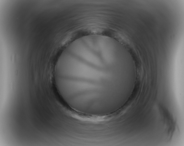 X0000086220032200704121905