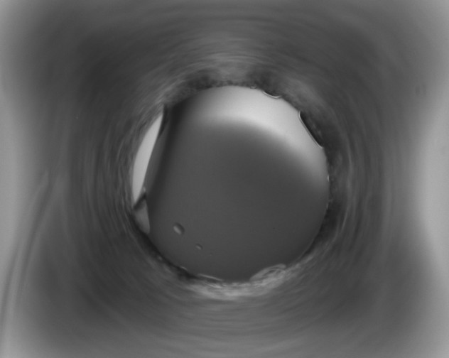 X0000086220033200704121905