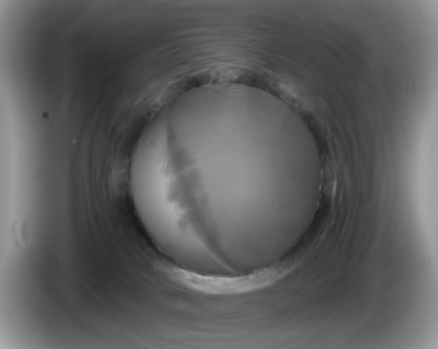 X0000086220034200704121905