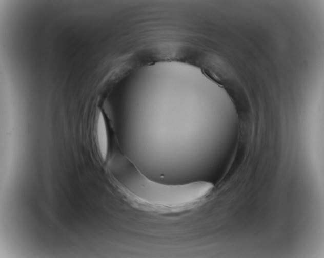 X0000086220035200704121905