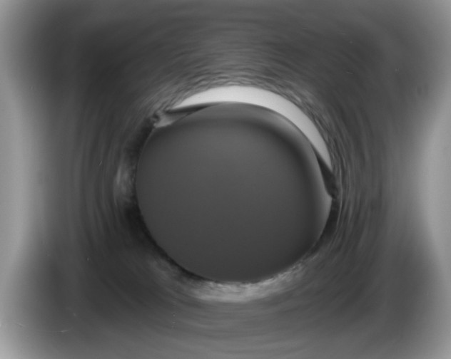 X0000086220037200704121905