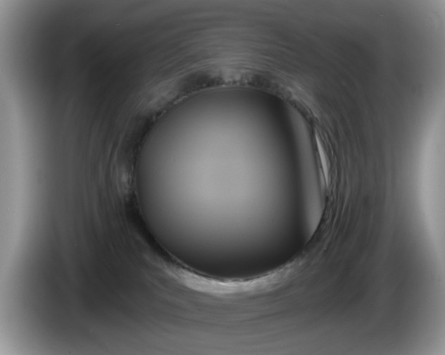 X0000086220039200704121905