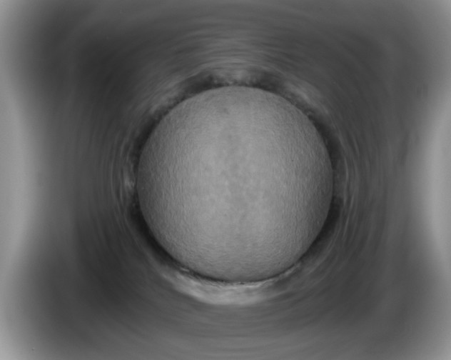 X0000086220040200704121905